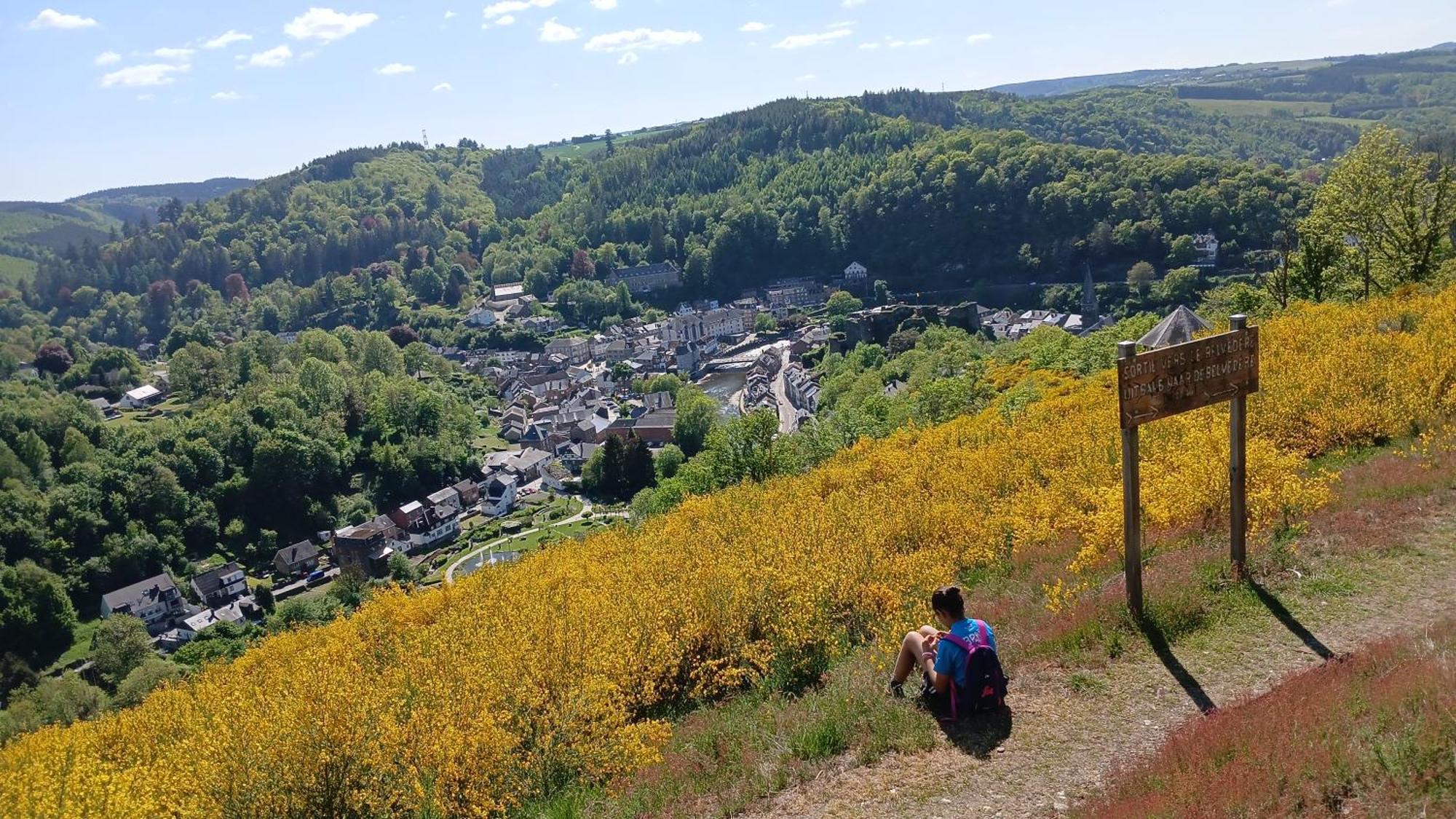 Le Panorama La-Roche-en-Ardenne Exterior foto